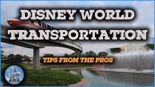Disney World Transportation  All You NEED To Know