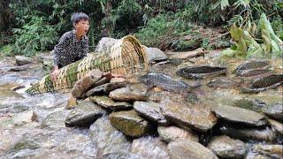 Nams orphan boy weaves bamboo cages blocked the streamsarranges rocks to make traps to catch fish