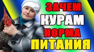 Нужна ли НОРМА ПИТАНИЯ для кур несушек.