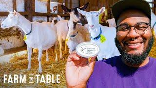 How Goat Cheese Is Made On A Farm & How To Cook With It  Farm To Table  Delish