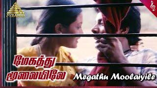 Megathu Moolaiyile Video Song  Taj Mahal Tamil Movie Songs  Manoj  Riya Sen  AR Rahman