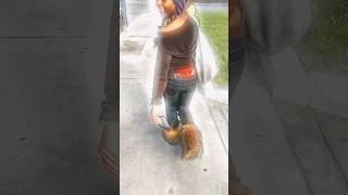 sexy walk #bimbo #highschool #trashyy2k