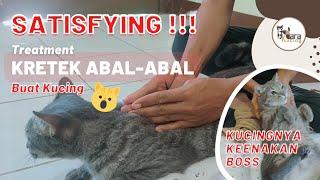 KRETEK ABAL2  KUCING