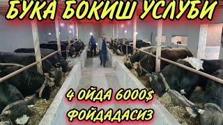 МОЛ БОКИШ УСЛУБИ 6000$ Доллир фойда 10 МОЛДАН