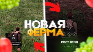 Новая ФЕРМА Сильный Фикс Заработка на AMAZING ONLINE