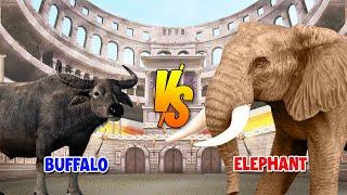 Buffalo vs Elephant  SPORE