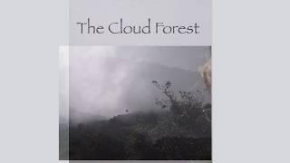 The Cloud Forest — Edwin McLean