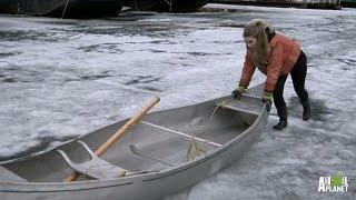 A Harrowing Run for Groceries Over Melting Ice