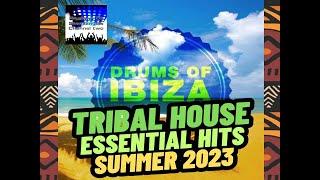 TRIBAL HOUSE ESSENTIAL HITS SUMMER 2023 playlist