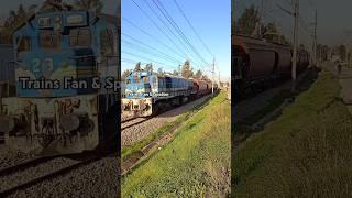 Passage of cereals train heading to Blida hauled by a classic EMD GT26CW class 060DL23 model 1982