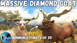 I Hunted The Biggest Diamond Feral Goat I Have Ever Seen  TheHunter Call Of The Wild