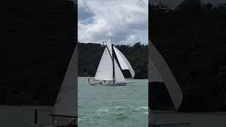 Is that a spinnaker? interesting