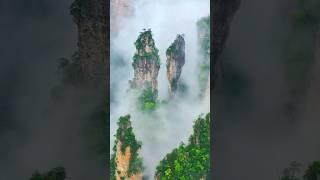 Avatar di Dunia Nyata Zangjiajie National Park #shorts #shirtvideo