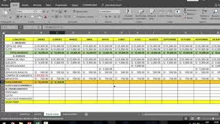 APRENDIENDO EN 10 MINUTOS ELABORAR Y ANALIZAR UN FLUJO CAJA PROYECTADO EN EXCEL PASO A PASO