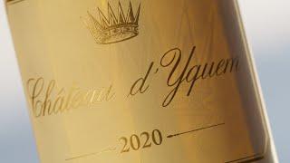 Awakening the senses - Château dYquem 2020