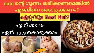 കുഞ്ഞുങ്ങൾക്ക് നിറവും തൂക്കവും കൂടാൻ nuts കൊടുക്കേണ്ടത് എങ്ങിനെDry Fruits And Nuts To Babies