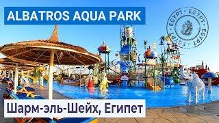 Full review of the hotel Albatros Aqua Park Sharm 5*  Sharm El Sheikh Egypt