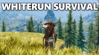 Can You Survive Skyrim Without Leaving Whiterun?