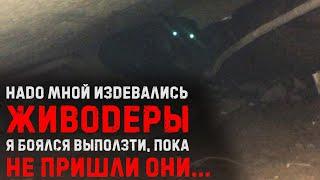 Живодеры продели проволоку через кожу щенка и завязали узлом. Что стало со щенком. История спасения