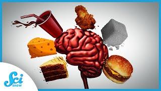 This Is Your Brain On Food  Compilation