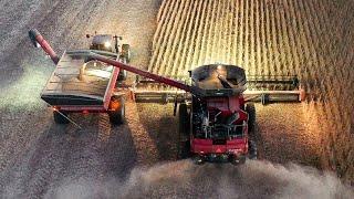 South Dakota Soybean Harvest 2022 Drone Video Footage