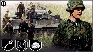 The History of the 3 Most Powerful Divisions of the Waffen SS  The Praetorian Guard III Reich