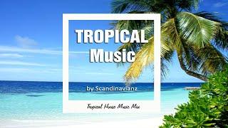 Tropical House Mix 2024  Tropical house instrumental  #tropicalhouse