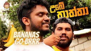 උබේ තාත්තා  Ubetatta - Did an Interview With Palitha Thotawaththe  Bananas Go Brr..