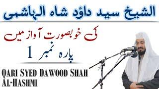 Qari Syed Dawood Shah Al-Hashmi Para 1  Beautiful Holy Quran Recitation Ulamae Haq