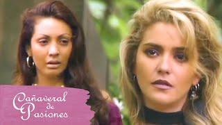 Cañaveral de pasiones Julia pierde la amistad de Mireya  C-74  tlnovelas