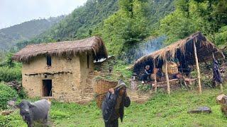 Best Nepali Mountain Village Life in Nepal  Very Relaxing Life of Himalayan Village Nepali Village