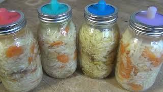 Fermentiertes Gemüse wie Wurzeln & Kohl ohne Salz einfach mit Sauerkrautsaft selbst machen
