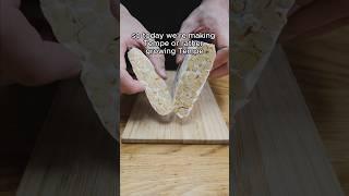 How to make tempeh