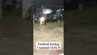 Pembukaan Festival Bedug kecKebun tebu oleh Ketua DPRD lampung barat  #gematakbir