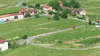 La Beaujolaise - 205 RCF - Montée du Mont Brouilly