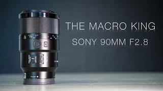 The Macro King  - Sony 90mm F2 8 Macro G OSS - Sharpness Portrait & Video Test