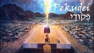 #23a Pekudei - Dvar Torah with Deeper Insights into the final preparations for YHVHs INDWELLING