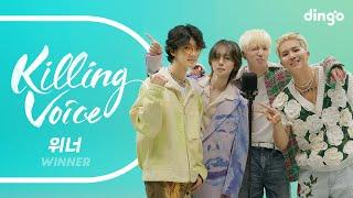 위너WINNER의 킬링보이스를 라이브로-I LOVE U REALLY REALLY LOVE ME LOVE ME ISLAND 끼부리지마 LALA 공허해  딩고뮤직