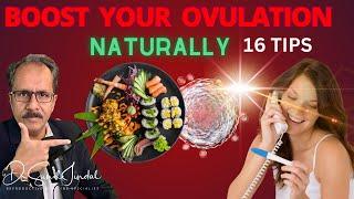 Boost Your Ovulation Naturally at HomeDr.Sunil JindalJindal Hospital Meerut