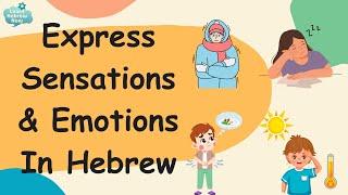 Learn Hebrew For Beginners  Essential Hebrew Feelings and Sensations Vocabulary with Pronunciation