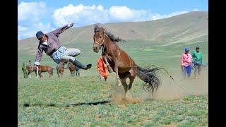 Национальное родео Горного Алтая