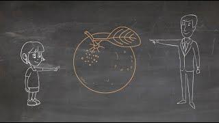 Integrative vs. Distributive Negotiation - The Orange Juice Story Doodle Video