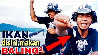 Cara Mancing Ikan Tongkol Pakai Baling-baling