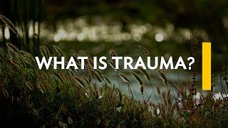 Question 1 - What is Trauma?