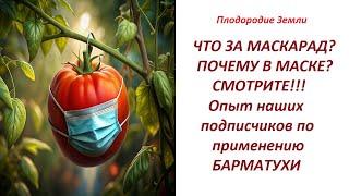 Лиана   и томаты в маске  Огромные томаты после БАРМАТУХИ Марафон Плодородия №5924