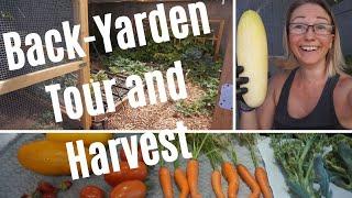 Garden Tour and Harvest  June Update