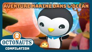 Octonauts -  Aventure marine dans locéan 🪸  Compilation  Dessins animés pour enfants