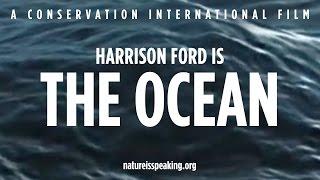 Nature Is Speaking – Harrison Ford is The Ocean  Conservation International CI