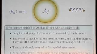 Subir Sachdev - Quantum matter and gauge-gravity duality