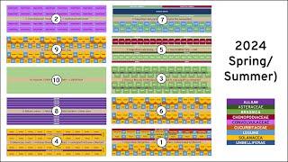 The Full 2024 Garden Plan